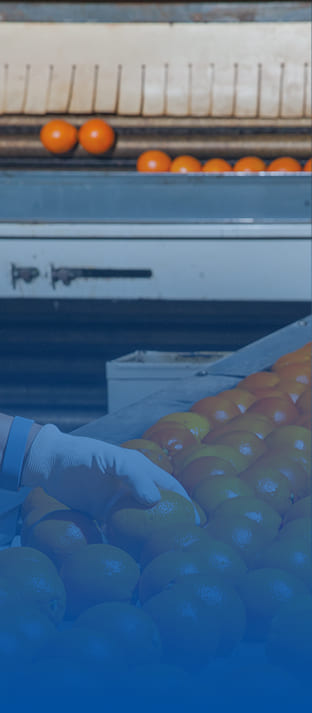 食品保鮮類